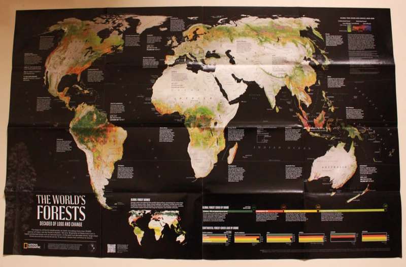 National Geographic Folded Map The Worlds Forests May 2022