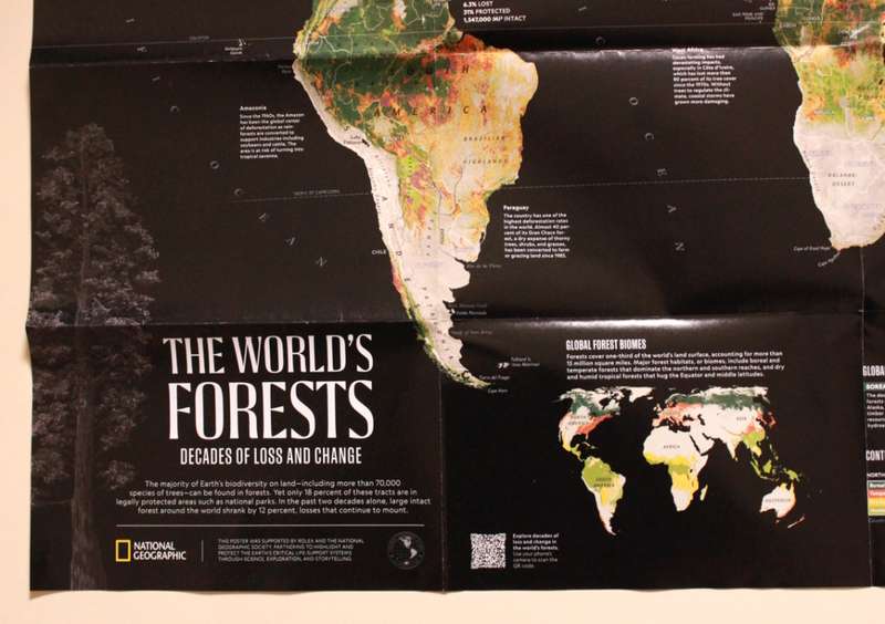 National Geographic Folded Map The Worlds Forests May 2022