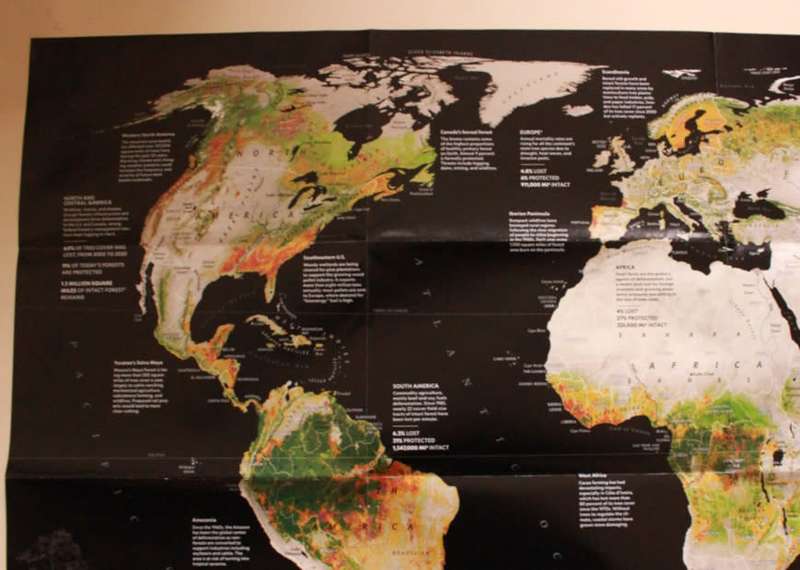 National Geographic Folded Map The Worlds Forests May 2022