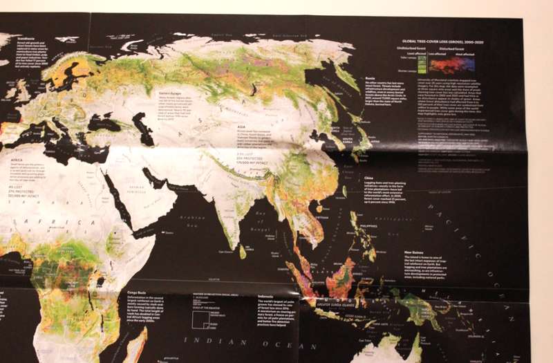 National Geographic Folded Map The Worlds Forests May 2022