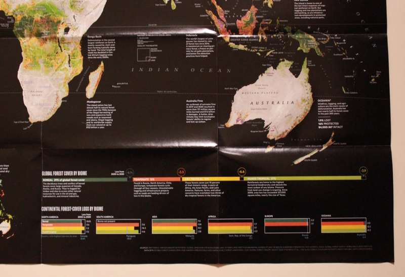 National Geographic Folded Map The Worlds Forests May 2022