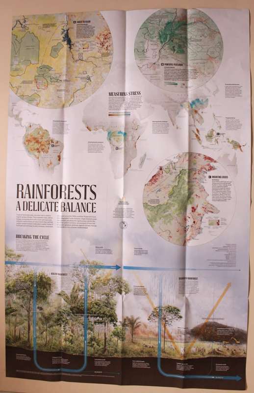 National Geographic Folded Map The Worlds Forests May 2022