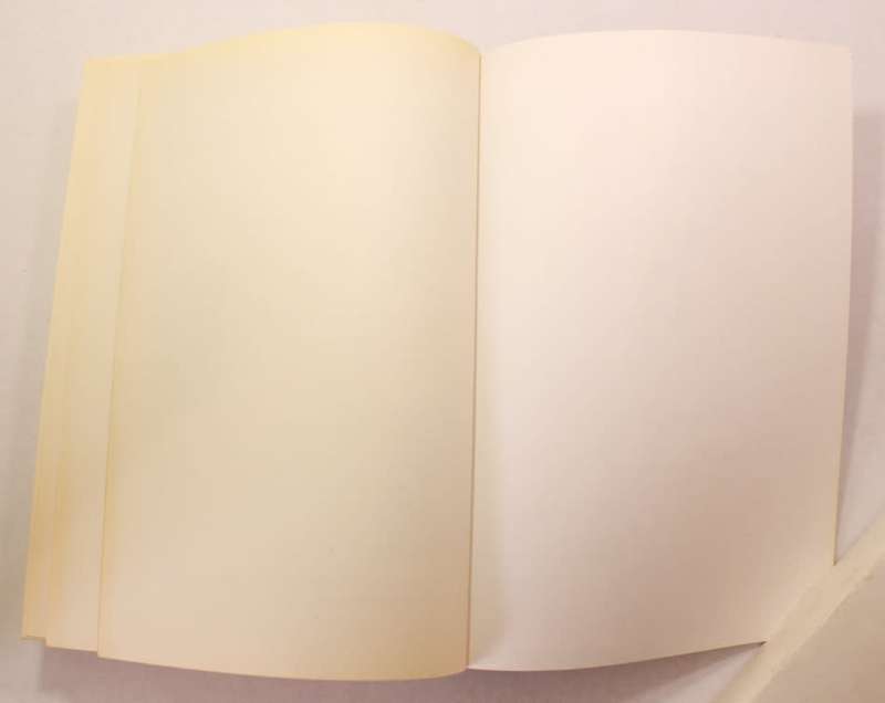 A Year With Jesus Daily Readings & Meditations by Eugene H. Peterson Softcover Book