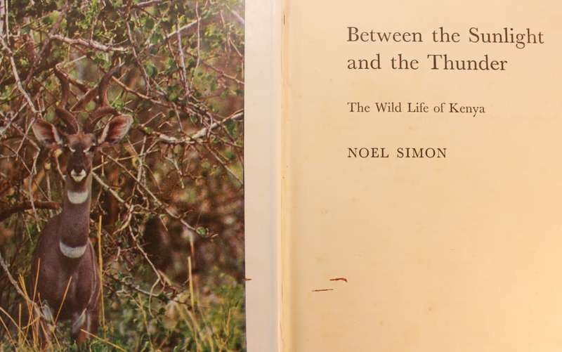 Between The Sunlight and the Thunder The Wildlife of Kenya by Noel Simon Hardcover Book
