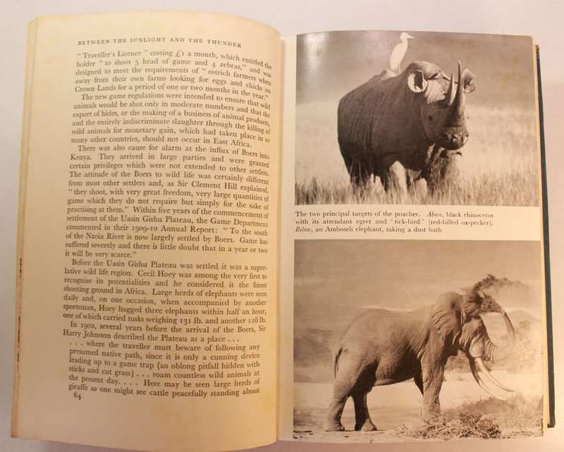 Between The Sunlight and the Thunder The Wildlife of Kenya by Noel Simon Hardcover Book