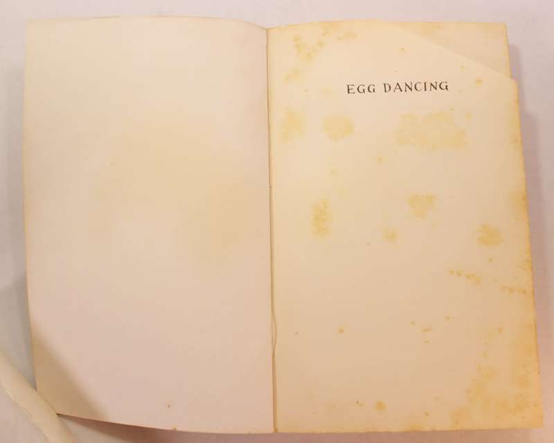 Egg Dancing by Liz Jensen Softcover Book