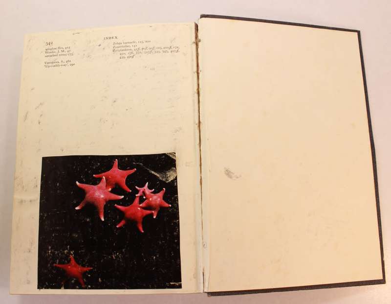 Great Waters by Sir Alister Hardy Hardcover Book