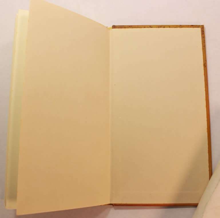 Honey by Isha Mellor Hardcover Book