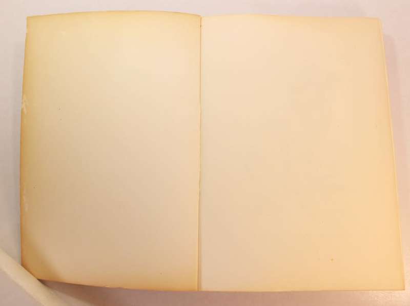 Life  & Travels in The Northwest 1850-1899 Namaqualand, Bushmanland, West Coast - Arne Schaefer Book