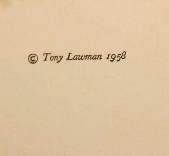 The Long Grass by T.W. Lawman Hardcover Book.