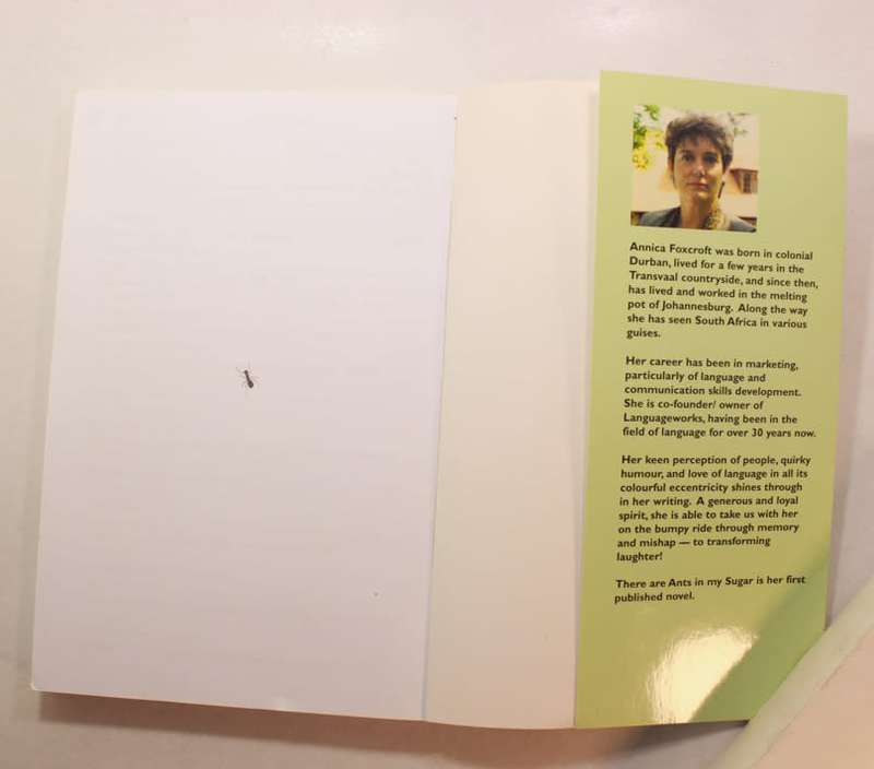 There Are Ants In My Sugar by Annica Foxtrot Softcover Book