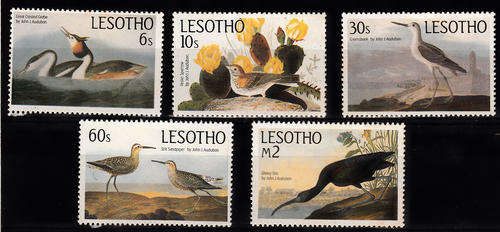 THEMATICS BIRDS MIXED LOT