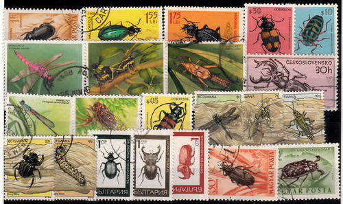 THEMATICS INSECTS MIXED LOT