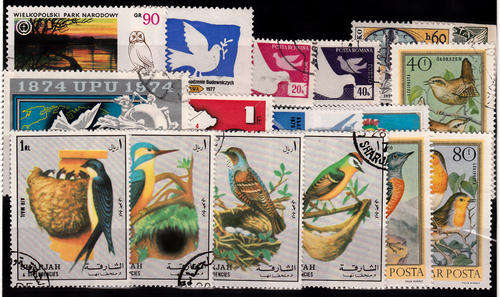 THEMATIC BIRDS