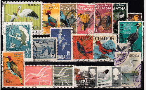 THEMATIC BIRDS MIXED LOT