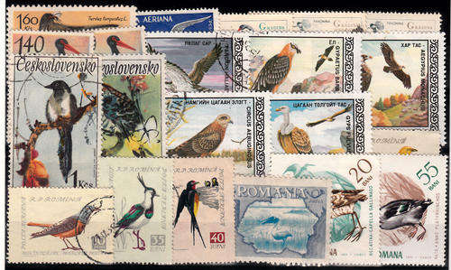 THEMATIC BIRDS MIXED LOT