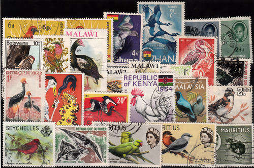 THEMATIC BIRDS MIXED LOT