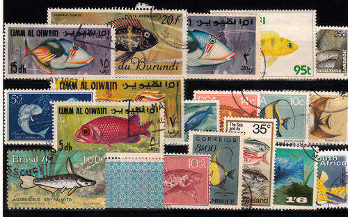 THEMATIC MARINE LIFE\ FISH 2 SCANS