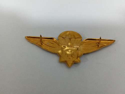 SA Police special task force Para wings 1st pattern