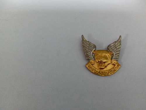 Special forces beret badges