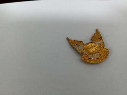 Special forces beret badges