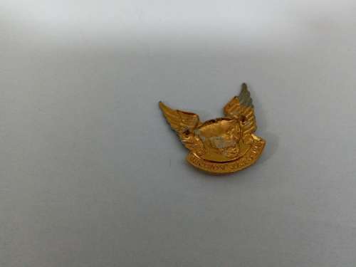 Special forces beret badges