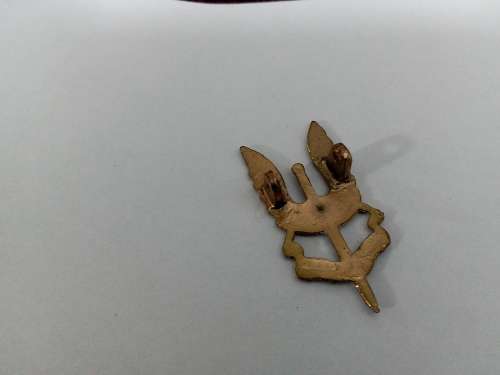 special air forces rendition badge