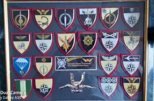 Beautiful display dedicated to Recce, a Unit of note.