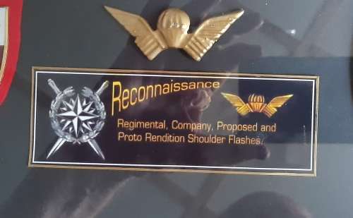 Fantastic Display in Honour of Recce