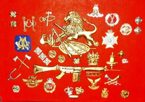 VERY HOT Super cool Set of Replica Rhodesian Insignia.