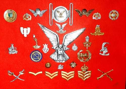 VERY HOT Super cool Set of Replica Rhodesian Insignia.