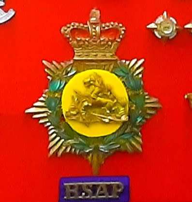 VERY HOT Super cool Set of Replica Rhodesian Insignia.