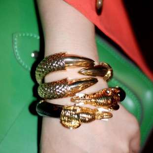 European Star Wear Punk Rock Style Claw Bangle
