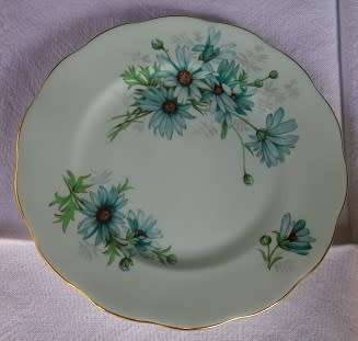 Exquisite unusual ROYAL ALBERT BONE CHINA TRIO. MISTY BLUE AQUA DAISIES ON AQUA BACKGROUND 1975-1980