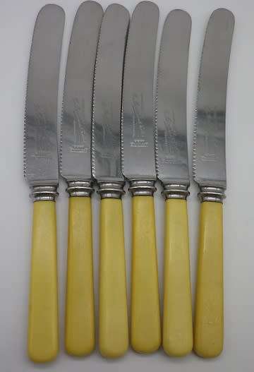 6 Bone handled knives.Mottershaw & Rowe Ltd, Sheffield Eng.Firth Stainless blades 20.2cm