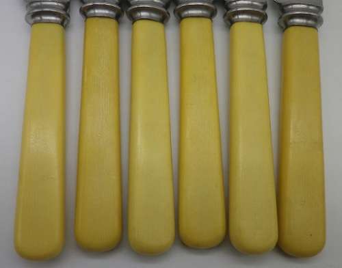 6 Bone handled knives.Mottershaw & Rowe Ltd, Sheffield Eng.Firth Stainless blades 20.2cm