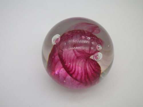 FOR MONACO  ONLY PLEASE!!! Caithnes Scotland `Carnival` SIGNED PAPER WEIGHT.  deep pink swirls