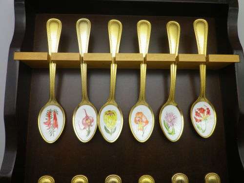 FOR JENNY ONLY PLEASE!! TWELVE 24ct Gold Plated Teaspoons with handpainted SA wild Flowers.