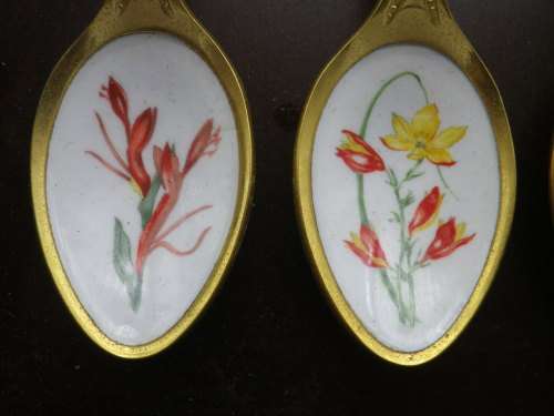 FOR JENNY ONLY PLEASE!! TWELVE 24ct Gold Plated Teaspoons with handpainted SA wild Flowers.