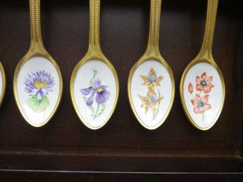 FOR JENNY ONLY PLEASE!! TWELVE 24ct Gold Plated Teaspoons with handpainted SA wild Flowers.