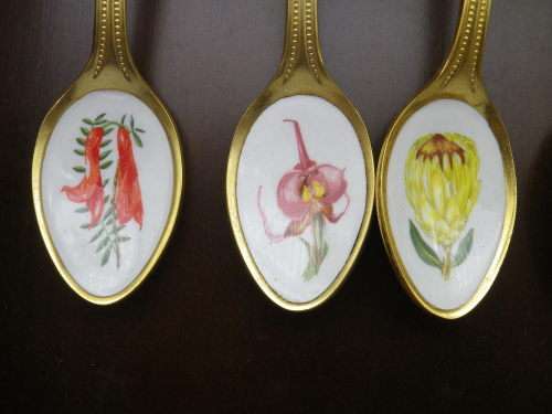 FOR JENNY ONLY PLEASE!! TWELVE 24ct Gold Plated Teaspoons with handpainted SA wild Flowers.