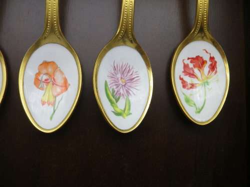 FOR JENNY ONLY PLEASE!! TWELVE 24ct Gold Plated Teaspoons with handpainted SA wild Flowers.