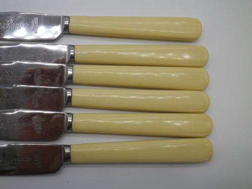 Vintage Bone (or faux?) handled butter knives. James Ryalls & Co Ltd, Sheffield, England. Boxed
