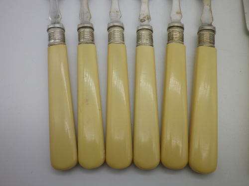 EPNS Fish Knife & Fork Vintage set with faux bone handles 12 piece. Boxed.