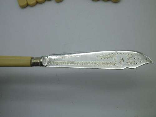 EPNS Fish Knife & Fork Vintage set with faux bone handles 12 piece. Boxed.