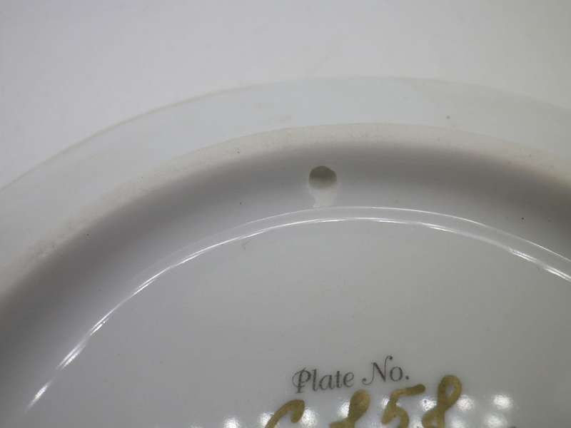 OUR LADY OF SILENCE  DISPLAY PLATE. VISIONS OF MARY series. Hector Garrido BRADFORD EXCHANGE