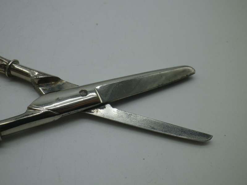 Hallmarked Edwardian Sterling Silver Handled GRAPE SCISSORS. Birmingham, 1901 Levi & Salaman. Boxed.