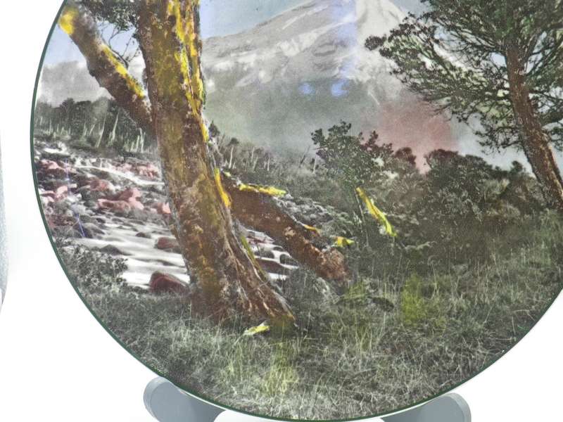 Vintage Royal Doulton Mount Egmont Display Plate D 6436 26cm