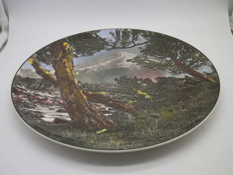 Vintage Royal Doulton Mount Egmont Display Plate D 6436 26cm