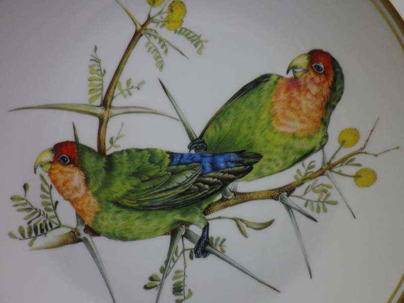 HERITAGE PORCELAIN ROSY FACED LOVE BIRD Ltd Ed DISPLAY PLATE. 23cm